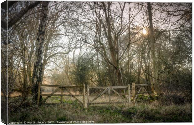 Hatfield Forest Canvas Print by Martin Yiannoullou