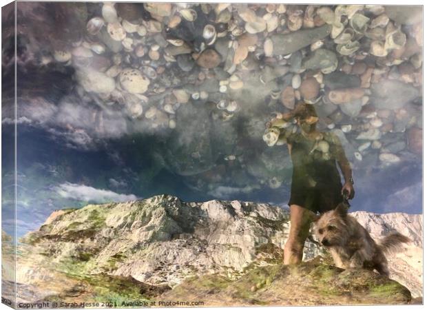 Rockpool Reflection Canvas Print by Sarah Hesse