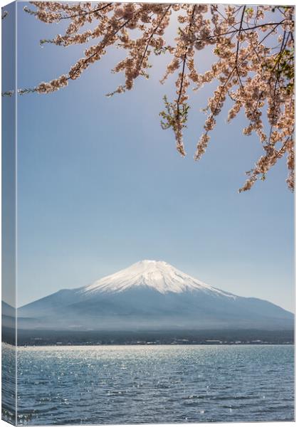 View of the Mt. Fuji symbol of Japan and Yamanaka lake with cherry blossoms Canvas Print by Mirko Kuzmanovic