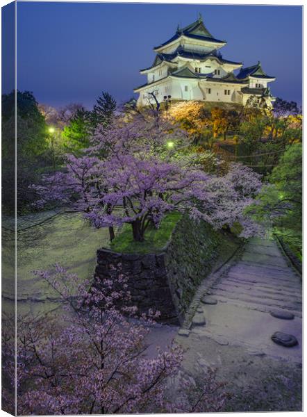 Evening view of Wakayama castle in cherry-blossom sakura season in Japan Canvas Print by Mirko Kuzmanovic
