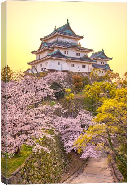 Wakayama castle during cherry-blossom Sakura season, Japan Canvas Print by Mirko Kuzmanovic