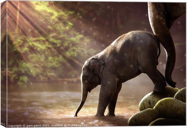 A baby elephant Canvas Print by gara gamo