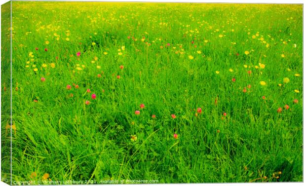 Wild Flowers in the English Countryside Canvas Print by Graham Lathbury