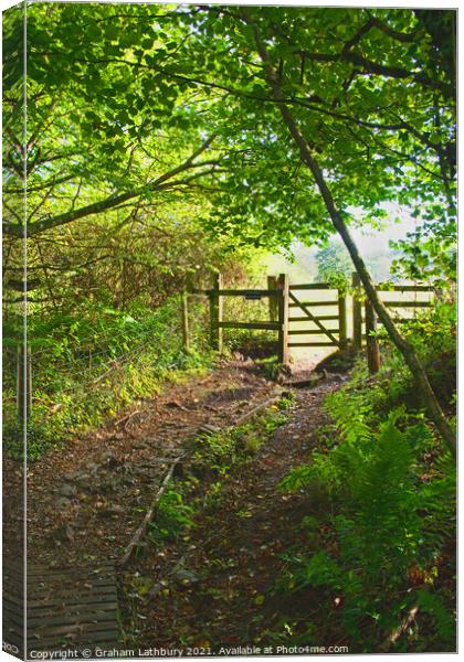 Cotswolds Bridleway Canvas Print by Graham Lathbury