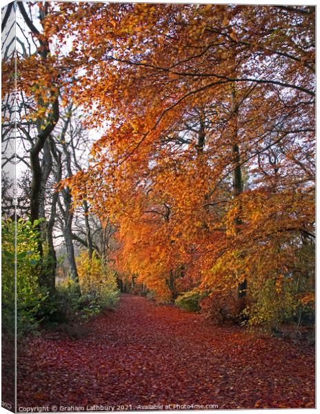 Autumnal Westridge Woods, Cotswolds Canvas Print by Graham Lathbury
