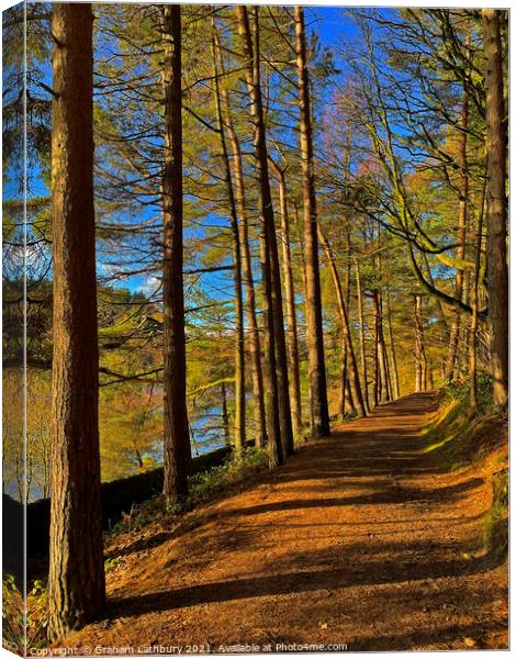 Langsett Reservoir Forest Path, Peak District Canvas Print by Graham Lathbury
