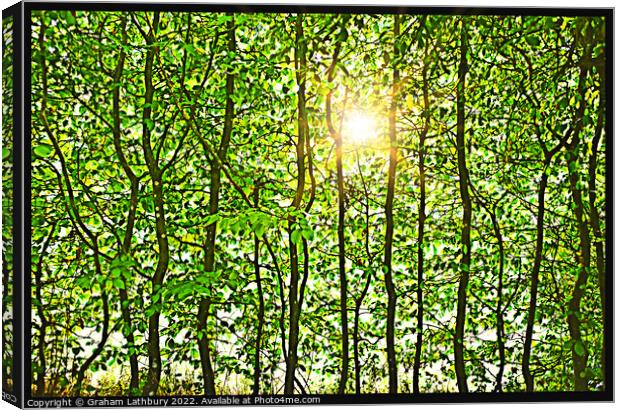 Leafy Sunshine Canvas Print by Graham Lathbury
