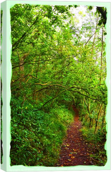 The Road Less Travelled - Peak District Canvas Print by Graham Lathbury