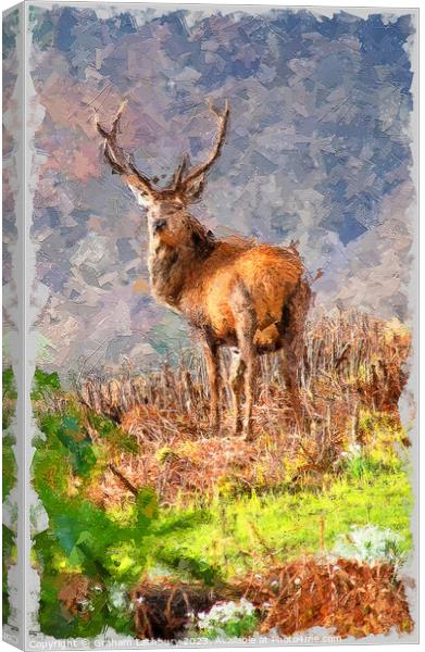 Red Stag Deer in Oils Canvas Print by Graham Lathbury
