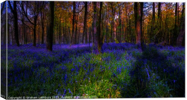 Bluebell Morning Canvas Print by Graham Lathbury