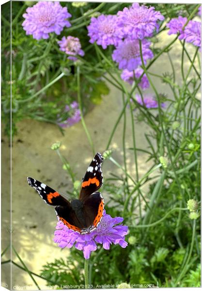 Red Admiral Butterfly Canvas Print by Graham Lathbury