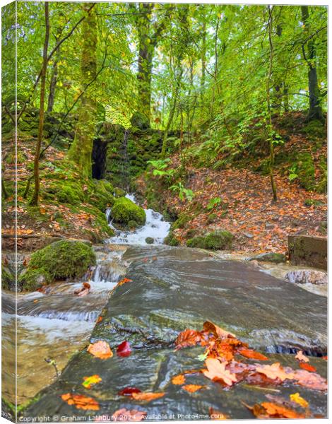 Forest Waterfall Ambleside  Canvas Print by Graham Lathbury