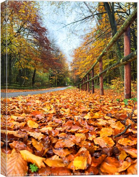 Autumnal Cotswolds Lane Canvas Print by Graham Lathbury