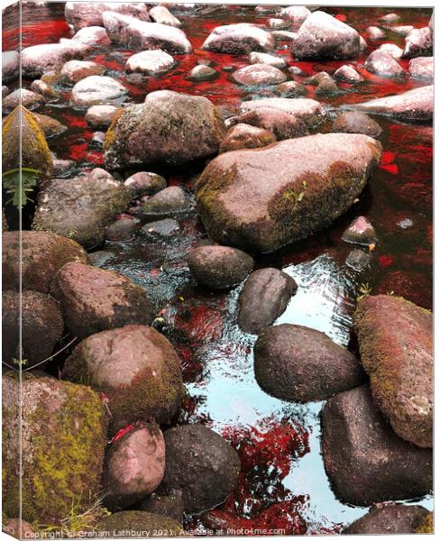 Rock Pools, Lake District Canvas Print by Graham Lathbury