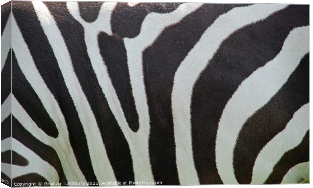 Zebra Skin Canvas Print by Graham Lathbury
