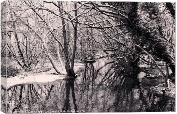 Winter trees in water Canvas Print by Stuart Chard