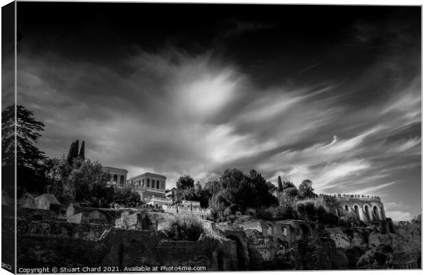 palatine hill and forum in Rome - Black and White Canvas Print by Stuart Chard