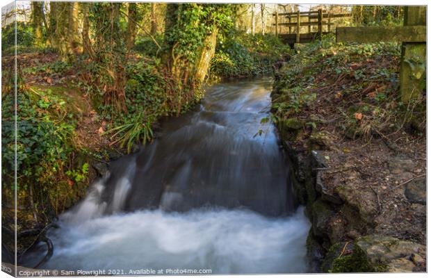 Waterfall flowing under a bridge at Tehidy woods Canvas Print by Sam Plowright