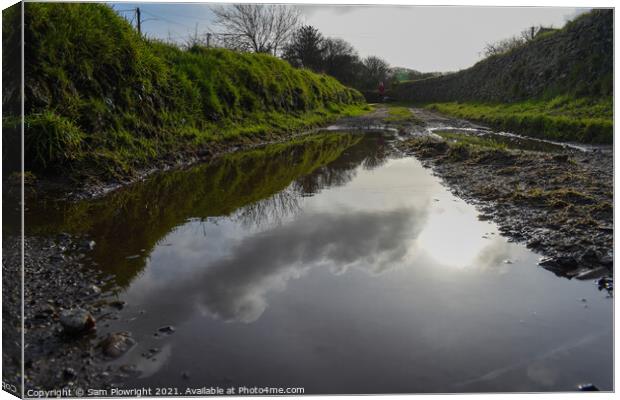 Reflection off a puddle on a calm winters day Canvas Print by Sam Plowright