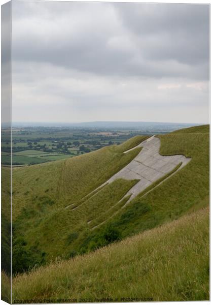 The Westbury white horse Canvas Print by Peter Wiseman