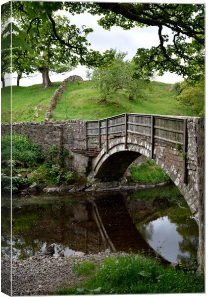 Abbey Bridge, Shap Abbey, the Lake District Canvas Print by Peter Wiseman