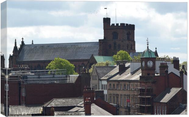 Roof top view of Carlisle Cathedral Canvas Print by Peter Wiseman