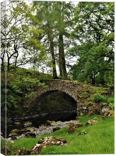 Old packhorse bridge on the River Lowther Canvas Print by Peter Wiseman