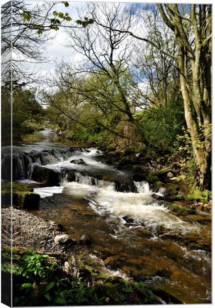 The River at Caldbeck, the Lake District, Cumbria Canvas Print by Peter Wiseman