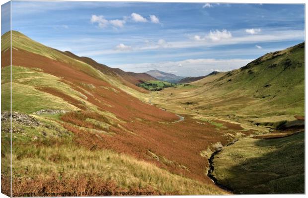 View down Newlands  Valley with Skiddaw in the background Canvas Print by Peter Wiseman