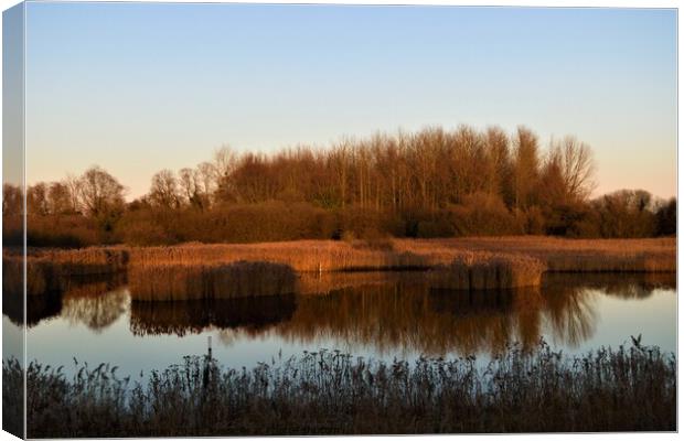 View from the Reedbed Hide at the RSPB Fowlmere Na Canvas Print by Peter Wiseman