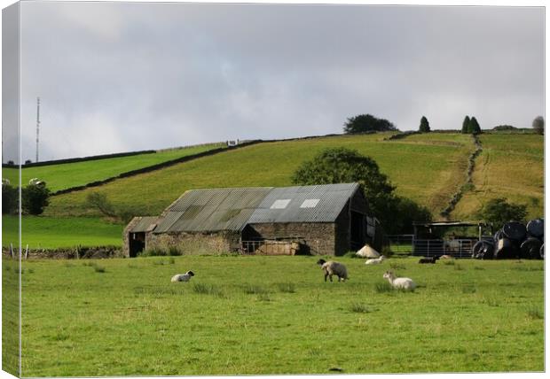 old stone barn Holmfirth Canvas Print by Roy Hinchliffe