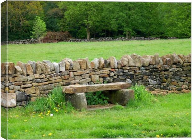 Stone bench Yorkshire Canvas Print by Roy Hinchliffe