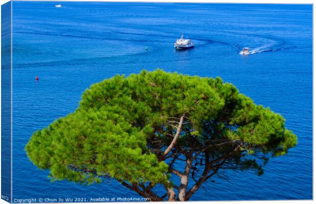 Boats sailing on Mediterranean sea with a tree at foreground in Collioure, France Canvas Print by Chun Ju Wu