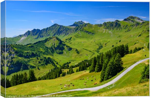 Landscape of mountains of Alps in summer with green meadow in Portes du Soleil, Switzerland, Europe Canvas Print by Chun Ju Wu