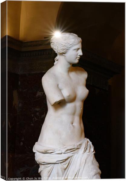 Venus de Milo (Aphrodite of Milos), one of the most famous ancient Greek sculpture, on display at the Louvre Museum in Paris, France Canvas Print by Chun Ju Wu