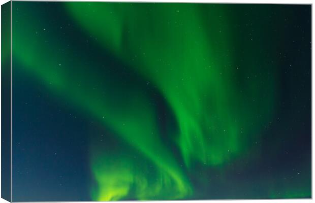 Aurora Borealis, Northern Lights, at Yellowknife, Northwest Territories, Canada Canvas Print by Chun Ju Wu