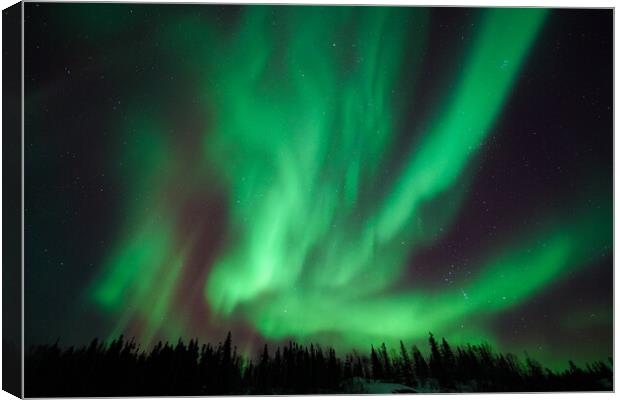 Aurora Borealis, Northern Lights, at Yellowknife, Northwest Territories, Canada Canvas Print by Chun Ju Wu