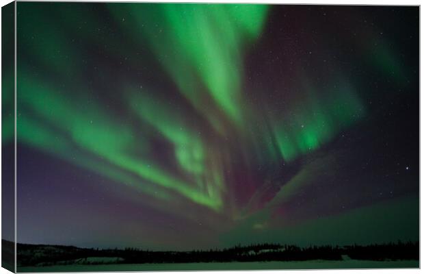 Aurora Borealis, Northern Lights, at Yellowknife, Northwest Territories, Canada Canvas Print by Chun Ju Wu