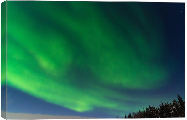 Aurora Borealis, Northern Lights, at Yellowknife, Northwest Territories, Canada Canvas Print by Chun Ju Wu