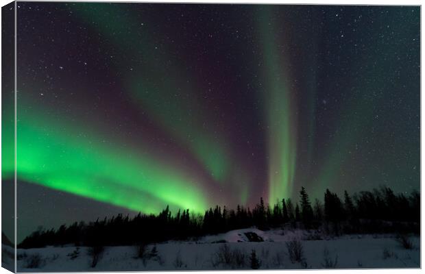 Aurora Borealis, Northern Lights, at Yellowknife, Northwest Territories, Canada Canvas Print by Chun Ju Wu