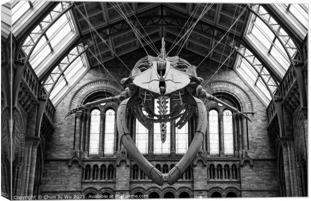 The interior of Natural History Museum with whale skeleton (black & white) Canvas Print by Chun Ju Wu
