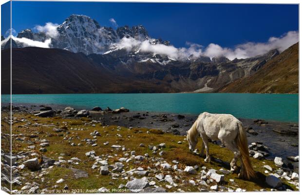 A white horse by Gokyo lake surrounded by snow mountains of Himalayas in Nepal Canvas Print by Chun Ju Wu