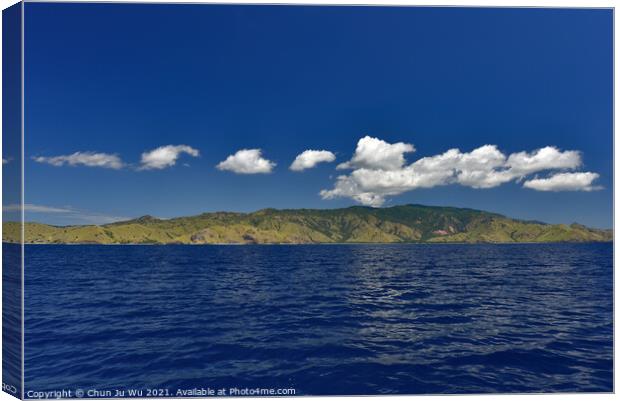 Islands of Indonesia with sea and sky Canvas Print by Chun Ju Wu