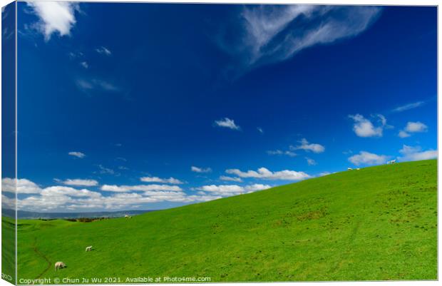 Green hills with sheep and blue sky in New Zealand Canvas Print by Chun Ju Wu