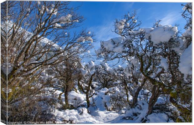 Hooker Valley Track in winter, Mt Cook National Park, New Zealand Canvas Print by Chun Ju Wu