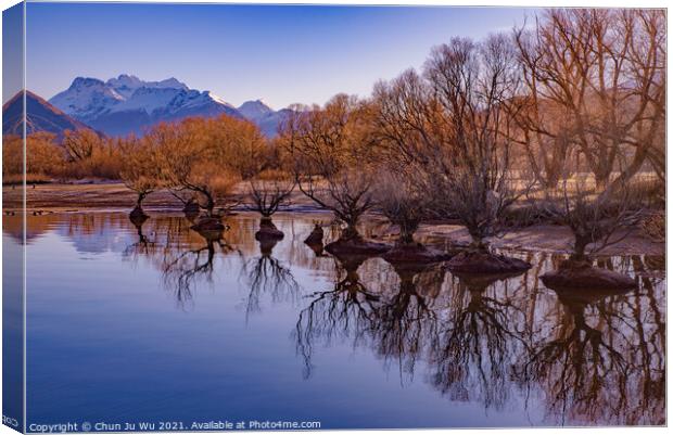 Reflection of trees on lake in winter in Glenorchy, New Zealand Canvas Print by Chun Ju Wu