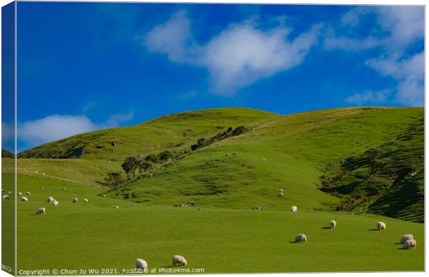 A herd of sheep grazing on a lush green field in New Zealand Canvas Print by Chun Ju Wu