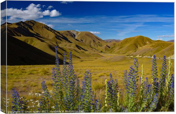 Landscape of South Island with lupine flowers in New Zealand Canvas Print by Chun Ju Wu