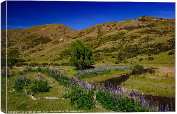 Landscape of South Island with lupine flowers in New Zealand Canvas Print by Chun Ju Wu