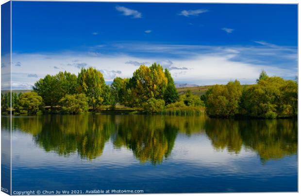 Landscape of autumn trees and lake in South Island, New Zealand Canvas Print by Chun Ju Wu